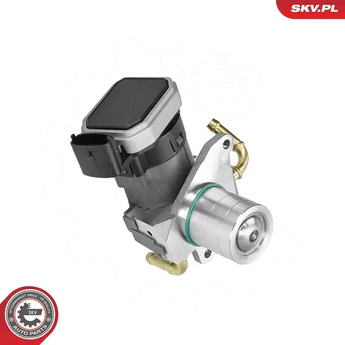 EGR ventil ESEN SKV 14SKV303