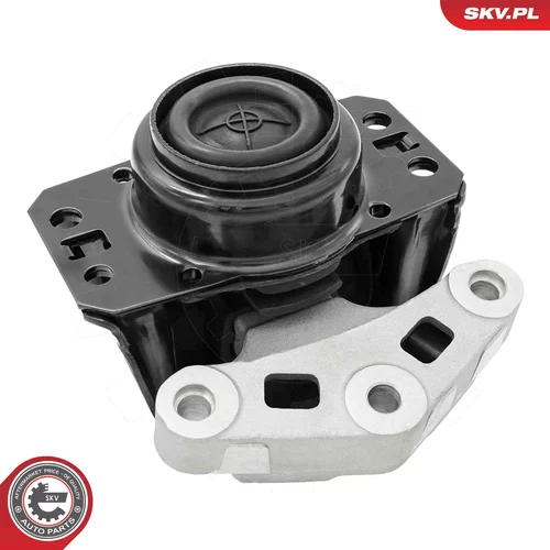 Uloženie motora 75SKV248 (ESEN SKV) - obr. 1
