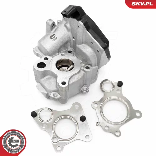 EGR ventil 14SKV259 (ESEN SKV) - obr. 1