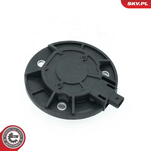 Centrálny magnet pre nastavovanie vačkového hriadeľa 39SKV900 (ESEN SKV) - obr. 1