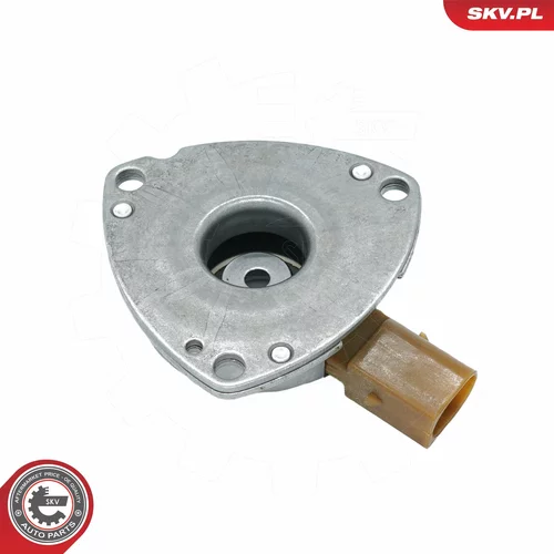 Centrálny magnet pre nastavovanie vačkového hriadeľa 39SKV901 (ESEN SKV) - obr. 2