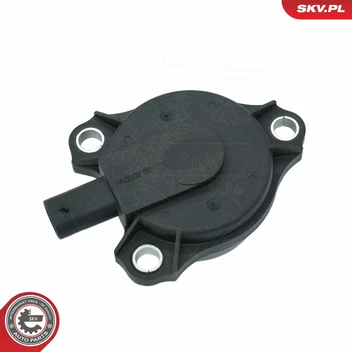 Centrálny magnet pre nastavovanie vačkového hriadeľa 39SKV903 (ESEN SKV) - obr. 1