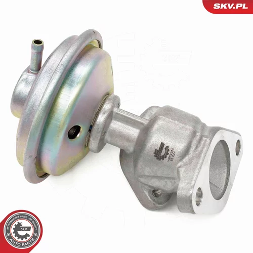 EGR ventil 14SKV258 (ESEN SKV) - obr. 1
