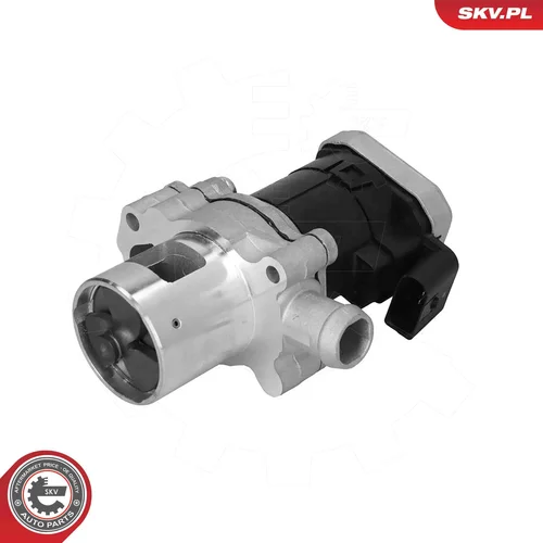 EGR ventil ESEN SKV 14SKV305