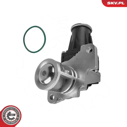 EGR ventil ESEN SKV 14SKV318