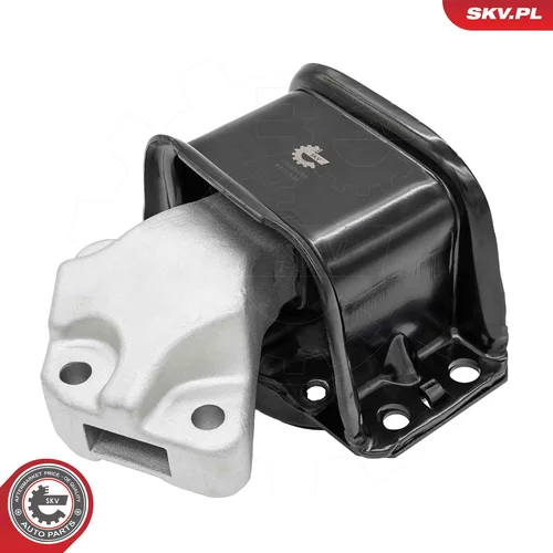 Uloženie motora 75SKV289 (ESEN SKV) - obr. 1