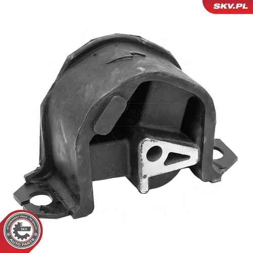 Uloženie automatickej prevodovky 75SKV803 (ESEN SKV) - obr. 1