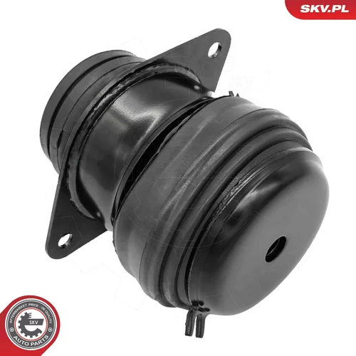 Uloženie motora 75SKV241 (ESEN SKV) - obr. 1