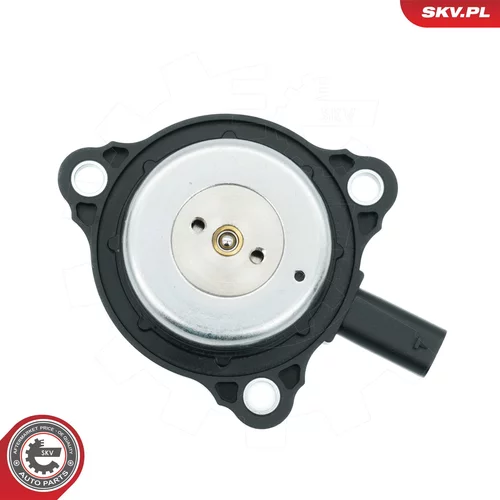 Centrálny magnet pre nastavovanie vačkového hriadeľa 39SKV905 (ESEN SKV) - obr. 4