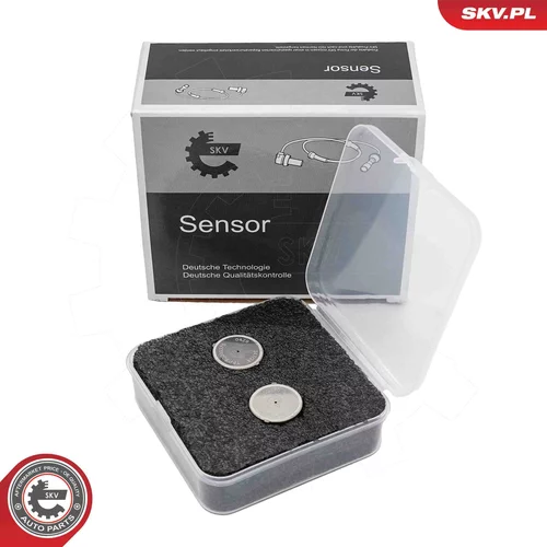 Riadiaca jednotka automatickej prevodovky ESEN SKV 95SKV203