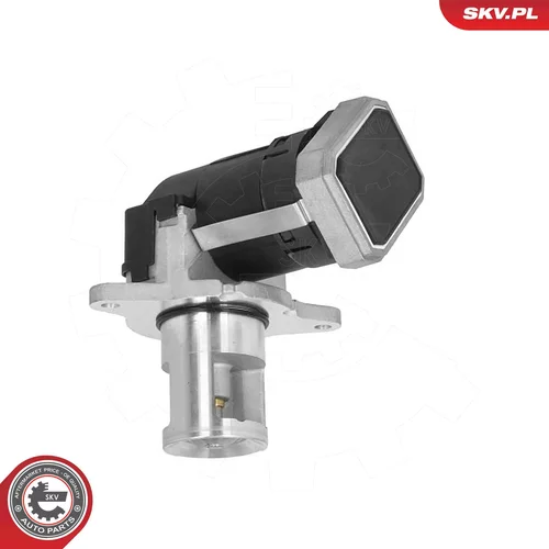 EGR ventil ESEN SKV 14SKV308