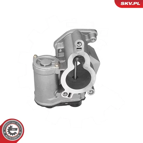 EGR ventil ESEN SKV 14SKV317