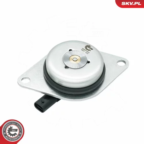 Centrálny magnet pre nastavovanie vačkového hriadeľa 39SKV902 (ESEN SKV) - obr. 1
