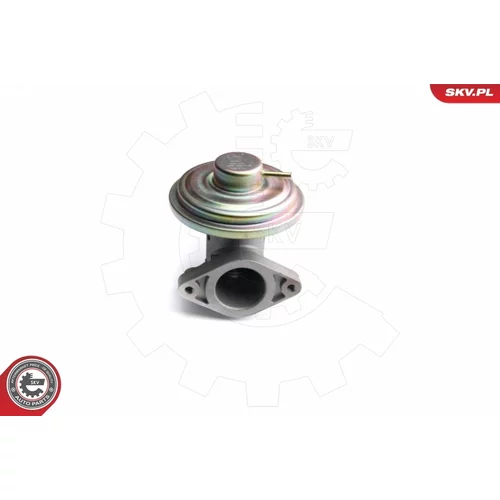 EGR ventil 14SKV098 (ESEN SKV) - obr. 1