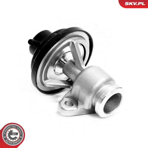 EGR ventil ESEN SKV 14SKV321