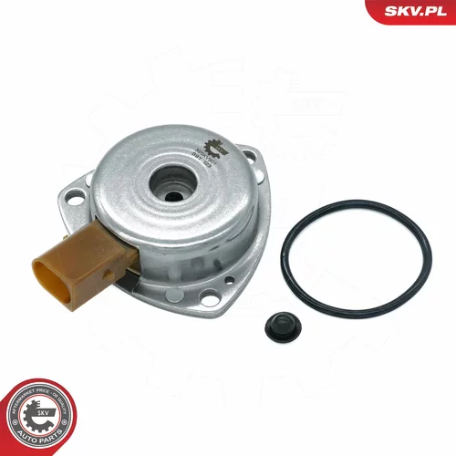 Centrálny magnet pre nastavovanie vačkového hriadeľa 39SKV901 (ESEN SKV) - obr. 1