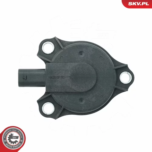 Centrálny magnet pre nastavovanie vačkového hriadeľa 39SKV903 (ESEN SKV) - obr. 4