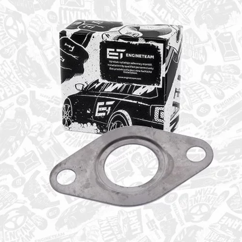 Tesnenie, Vedenie EGR ventilu TM0019 (ET ENGINETEAM) - obr. 1