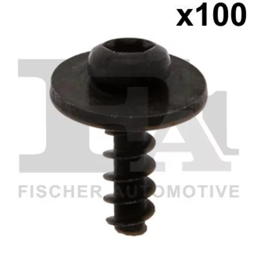 Skrutka 11-70010.100 /FA1/