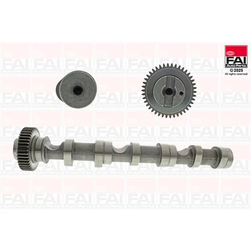 Vačkový hriadeľ FAI AutoParts C481