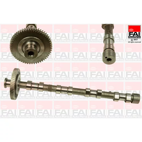 Vačkový hriadeľ FAI AutoParts C309