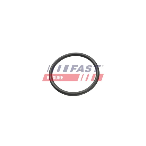 Tesniaci krúžok, hadica chladiva FT49935 /FAST/ - obr. 1