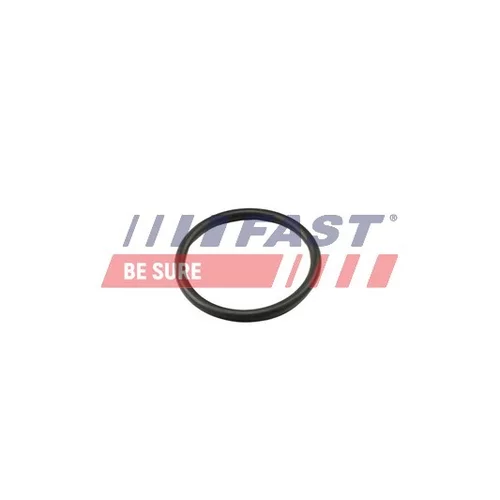 Tesnenie termostatu FT49917 /FAST/