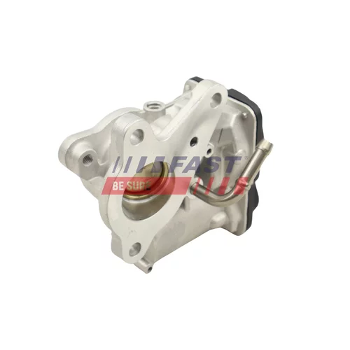 EGR ventil FAST FT60249