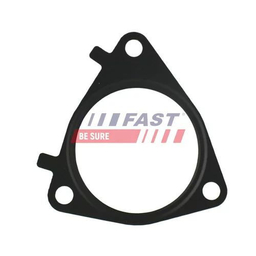 Tesnenie, EGR ventil FAST FT49546