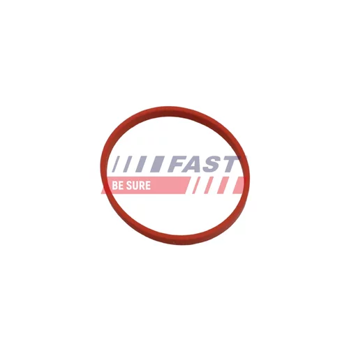 Tesnenie, Vedenie EGR ventilu FAST FT49868