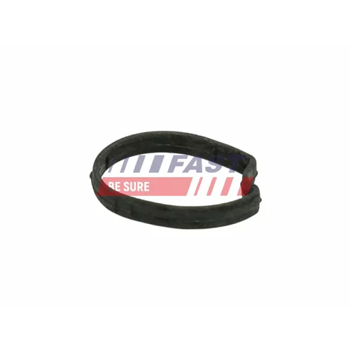 Tesnenie termostatu FAST FT58301