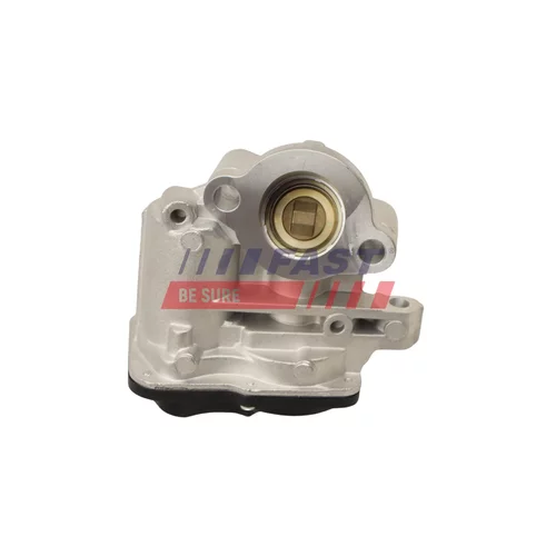 EGR ventil FAST FT60244