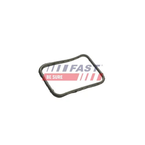 Tesnenie termostatu FT58302 /FAST/ - obr. 1