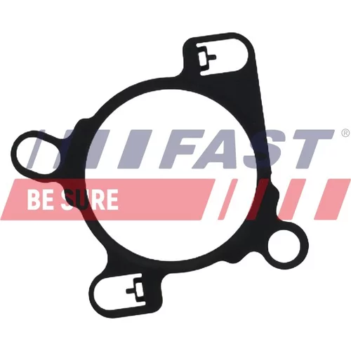 Tesnenie, EGR ventil FAST FT12469