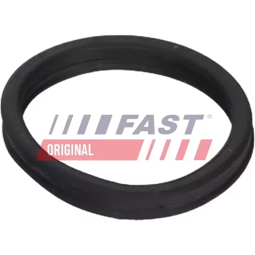 Tesniaci krúžok FAST FT13157
