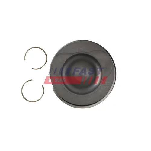 Piest FT47137/0 /FAST/ - obr. 1