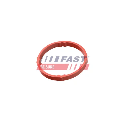 Hadica odvetrania veka hlavy valcov FAST FT48958