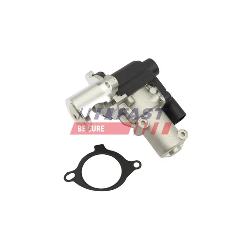 EGR ventil FAST FT10064