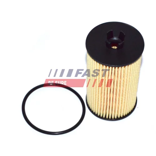 Olejový filter FAST FT38066