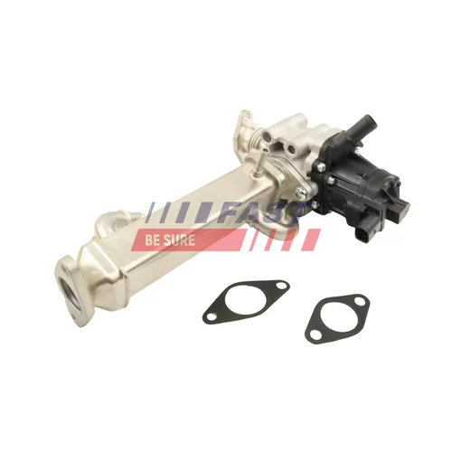 EGR ventil FAST FT60250