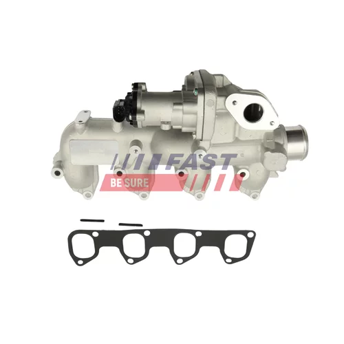 EGR ventil FAST FT10060