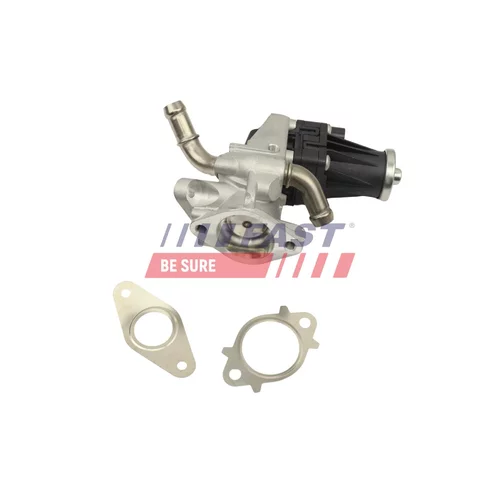 EGR ventil FAST FT10061