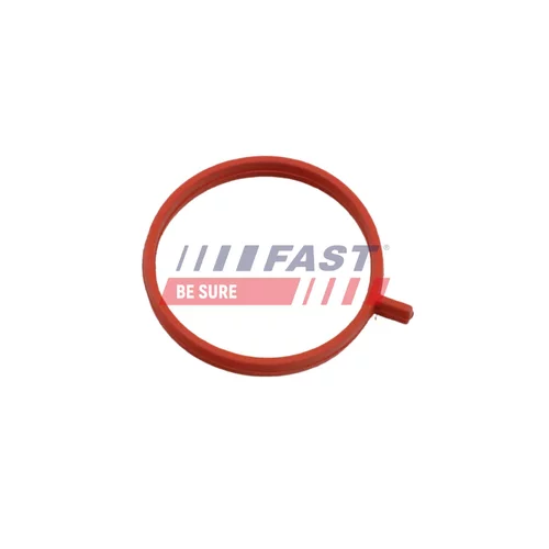 Tesniaci krúžok hadice plniaceho vzduchu FT48963 /FAST/ - obr. 1