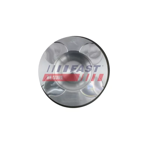Piest FT47134/0 /FAST/ - obr. 2