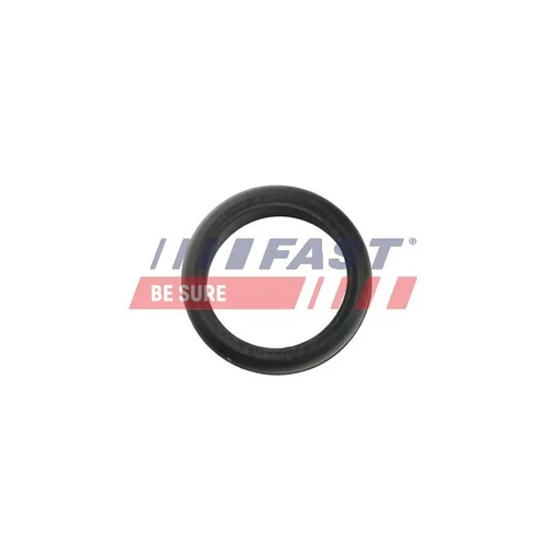 Tesniaci krúžok hadice plniaceho vzduchu FT48953 /FAST/ - obr. 2