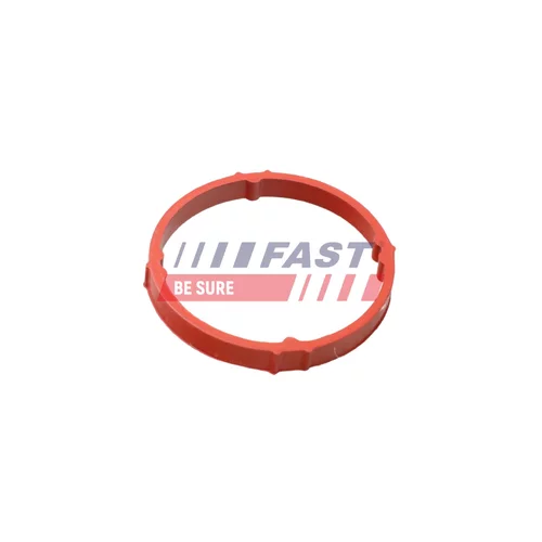 Hadica odvetrania veka hlavy valcov FT48958 /FAST/ - obr. 1