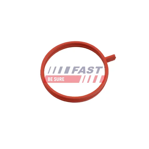 Tesniaci krúžok hadice plniaceho vzduchu FAST FT48963