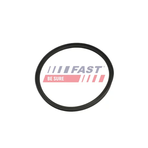Tesniaci krúžok hadice plniaceho vzduchu FT48965 /FAST/ - obr. 1