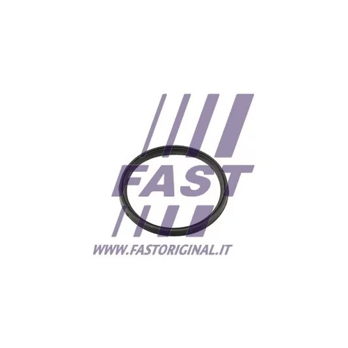 Tesniaci krúžok hadice plniaceho vzduchu FT49857 /FAST/ - obr. 3