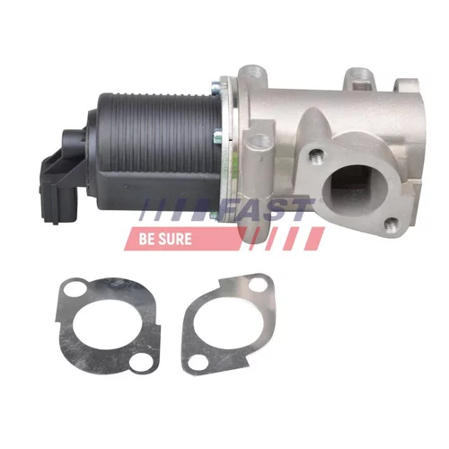 EGR ventil FAST FT60237